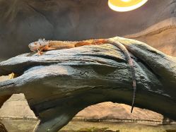 -Zoolung Zoolung动物主题公园(海信广场店)