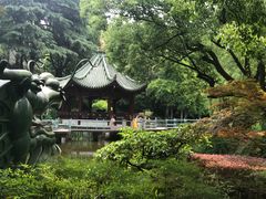 -申粤轩酒楼·三十年粤菜经典(丁香花园店)