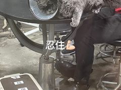 -PETKIT小佩宠物(昭化店)