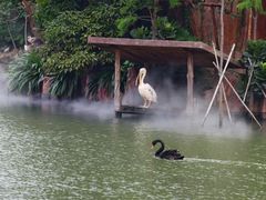-长鹿旅游休博园