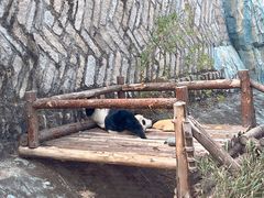 -泉州海丝野生动物世界