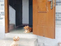 iphone_upload_pic-黄埔古港