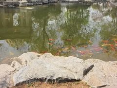 -青岛鑫江温德姆酒店