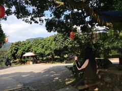 -广州市石门国家森林公园