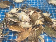 -半岛听涛蒸汽海鲜自助(K11店)