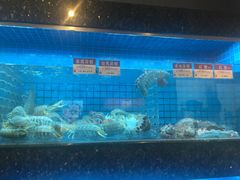 -协成海鲜火锅(情侣路店)