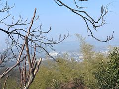 -紫金山山顶公园