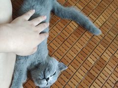 -宠颐生汉谟拉比宠物医院