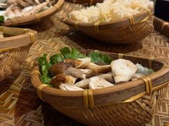 -滇野云南野生菌餐厅(陕西南路店)