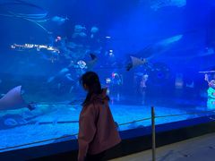 -烟台海昌鲸鲨海洋公园