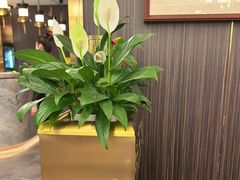 -玉林烤鸭店(垡头店)