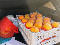 -西郊国际农产品交易中心