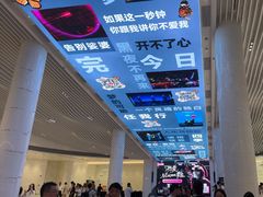 -浣熊唱片店(上海影城店)