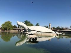 -东方巨龟苑景区