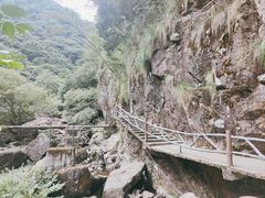 -白云源风景区