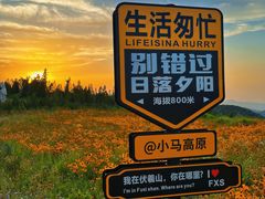 -伏羲山旅游区