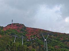-木兰云雾山