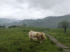 -硗碛藏寨·神木垒景区