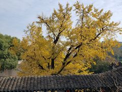 -无锡惠山寺