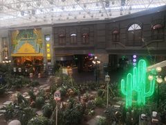 -凯德广场(学府店)