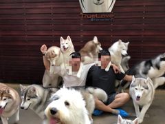 -TrueLove @ Neverland (Husky Cafe)