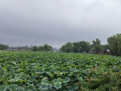 -长春市南湖公园