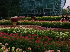 -石家庄市植物园