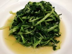 -金春禧·鲁菜海鲜(延吉路万达店)