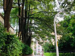 -百里鲜·闽南家宴·福建菜