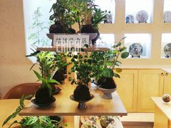 景观位-本处·素食·融合料理(南油店)