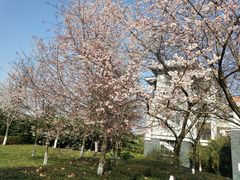 -晓庄学院-食堂