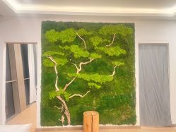 -POCO宝珂丽科技美肤