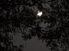 -北极阁公园