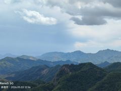 -六里坪国家森林公园