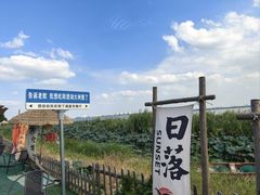 -七的湖·晚芳亭·阳澄湖农家菜·大闸蟹(莲花岛店)