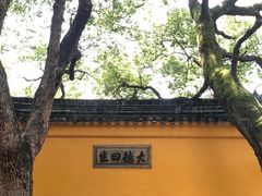 -西园戒幢律寺