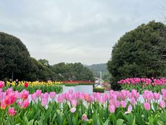 -南山植物园