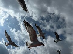 -丽江泸沽湖景区