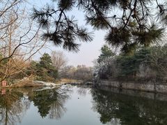 -国家植物园