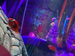 -沈阳海洋探索中心