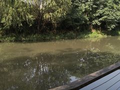 -新江湾城公园