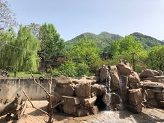 -西安秦岭野生动物园