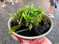 -黑色经典臭豆腐·湖南特产(步行街店)