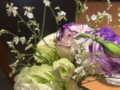 -O'eat Blossom&Pelican(深圳首店)
