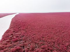 -红海滩国家风景廊道