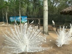 -秦皇岛野生动物园