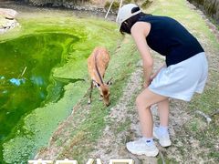 -奈良公园