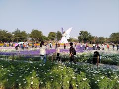 -小榄人家酒楼(民安店)