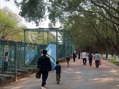 -广东茂名森林公园