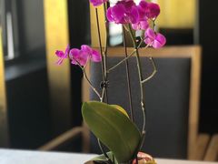 -粤秀餐厅(国货店)